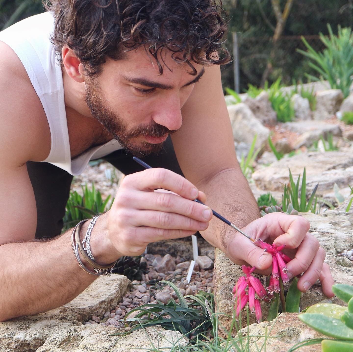 Toni Sastre hand-pollinating a flower in his garden